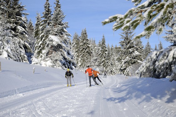 Ski de fond dans les Vosges : Les meilleures sorties
