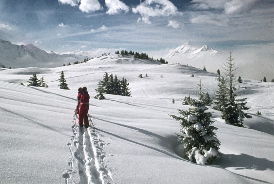 Ski de fond ©Flickr