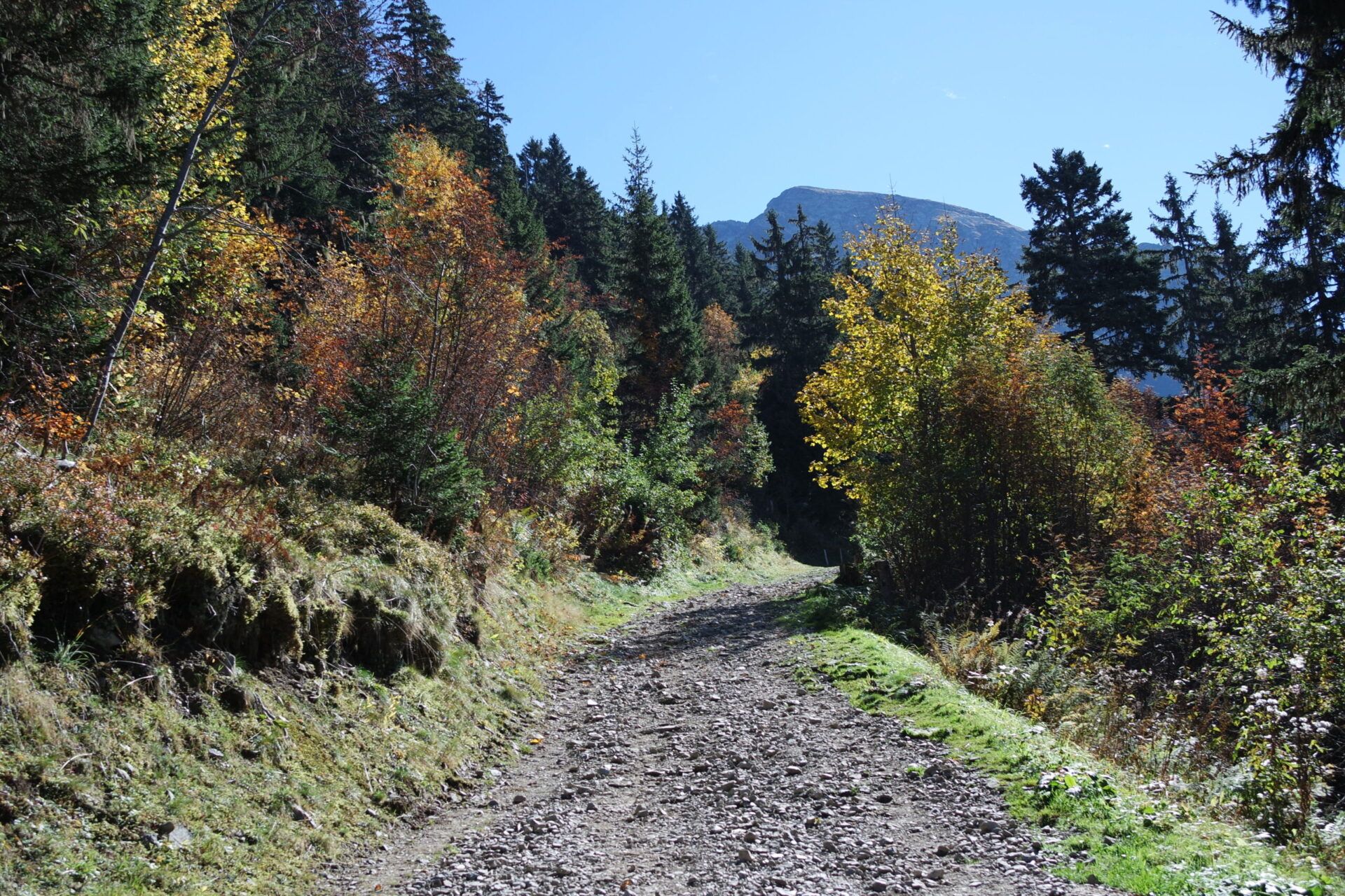 Lac du Crozet
